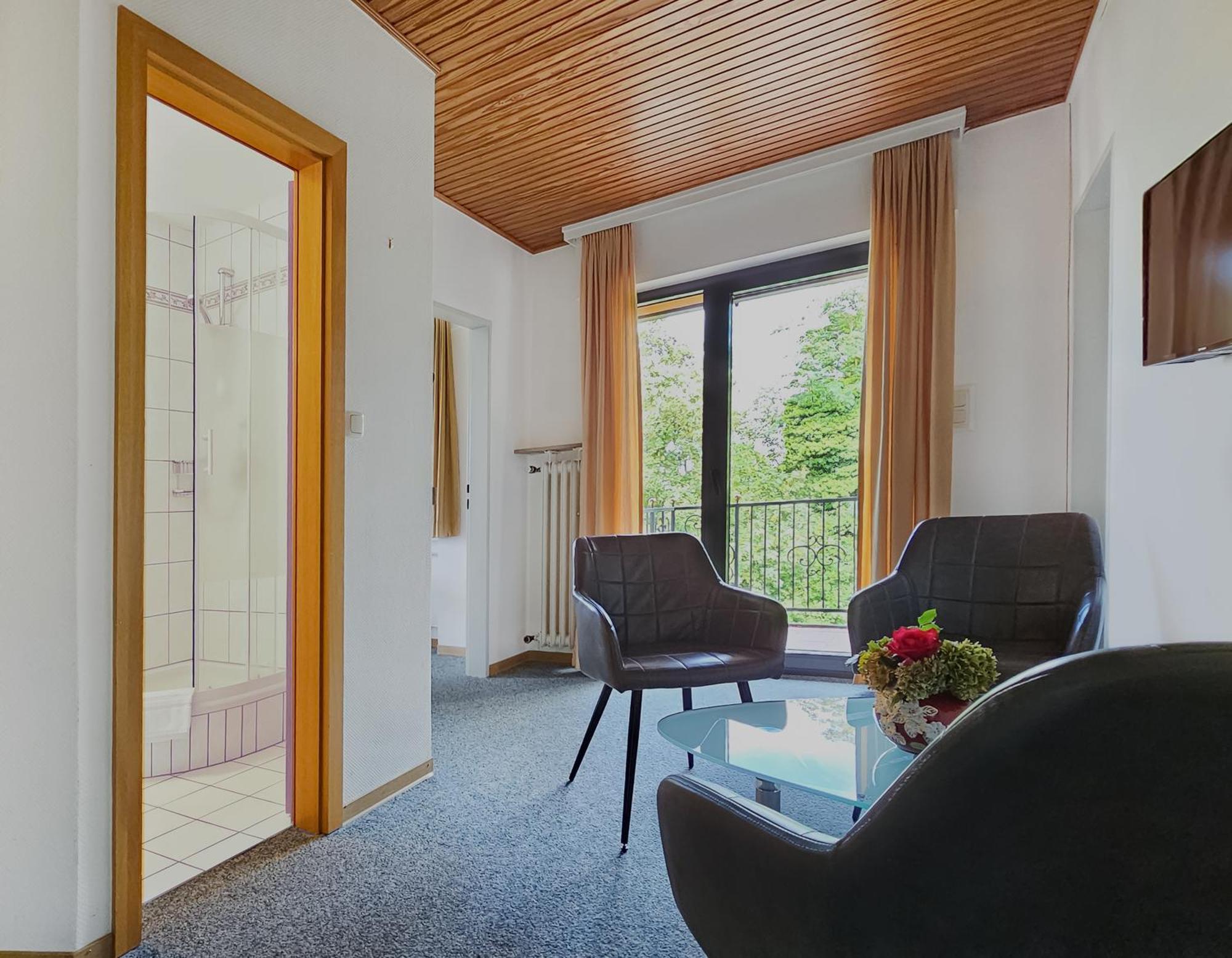 טרייר Vintage Hotel Petrisberg מראה חיצוני תמונה